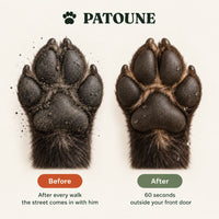 Post-Walk Paw Cleaner Kit — Water Brush + Microfiber Towel